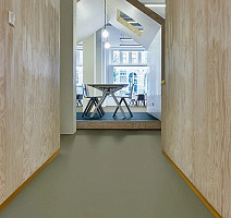 Forbo Marmoleum Decibel 335535 rosemary green фото 2 | FLOORDEALER